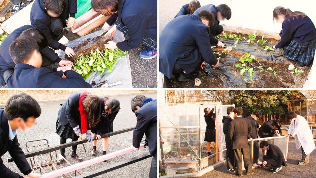 2603131　大根21　本文